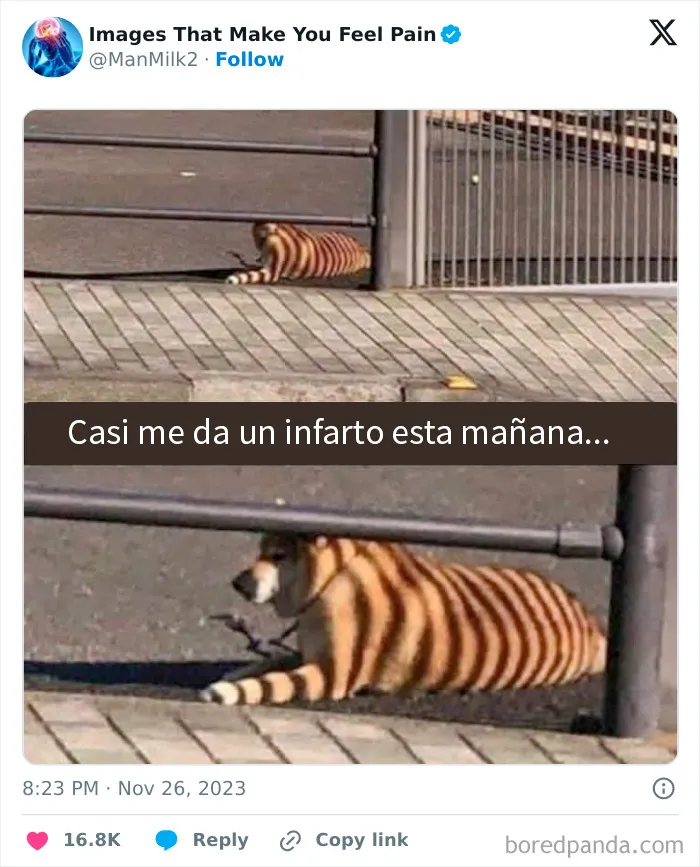 20 Imágenes dolorosas que te quitarán las ganas de seguir mirando internet por hoy