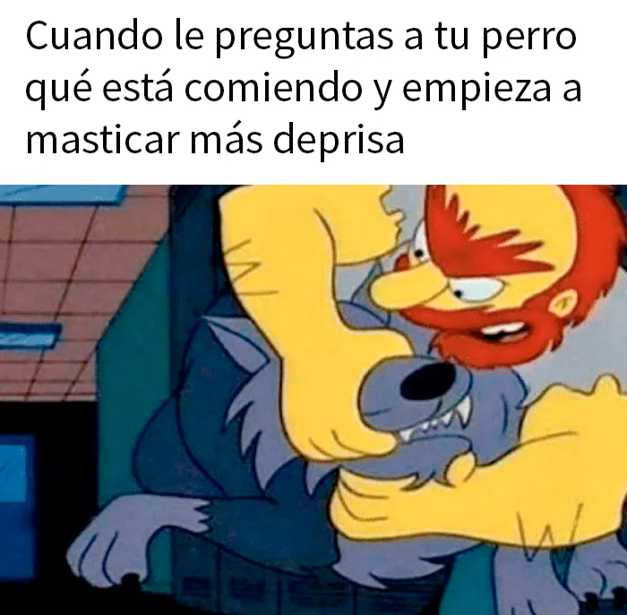 20 Divertidos memes "espirituales" sobre cualquier cosa que se te ocurra
