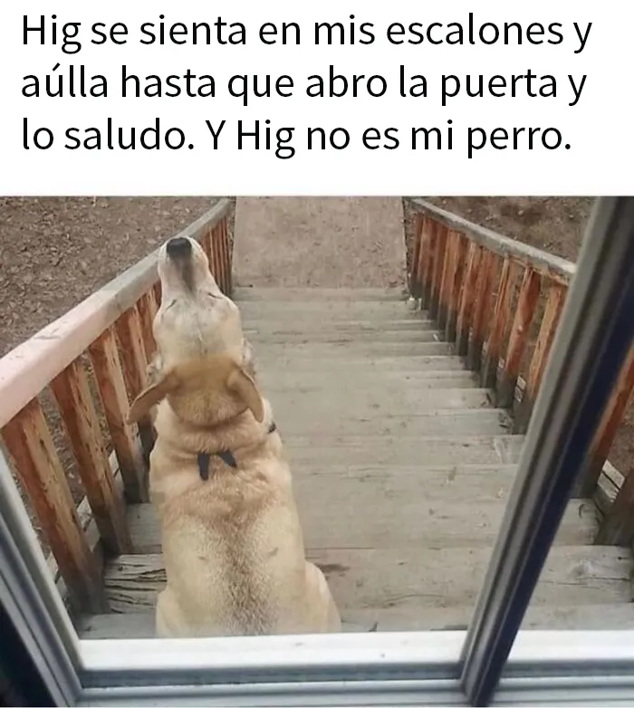 20 Divertidos memes "espirituales" sobre cualquier cosa que se te ocurra
