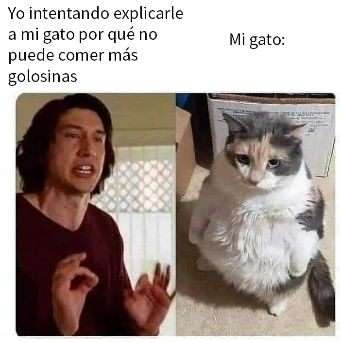 20 Divertidos memes "espirituales" sobre cualquier cosa que se te ocurra