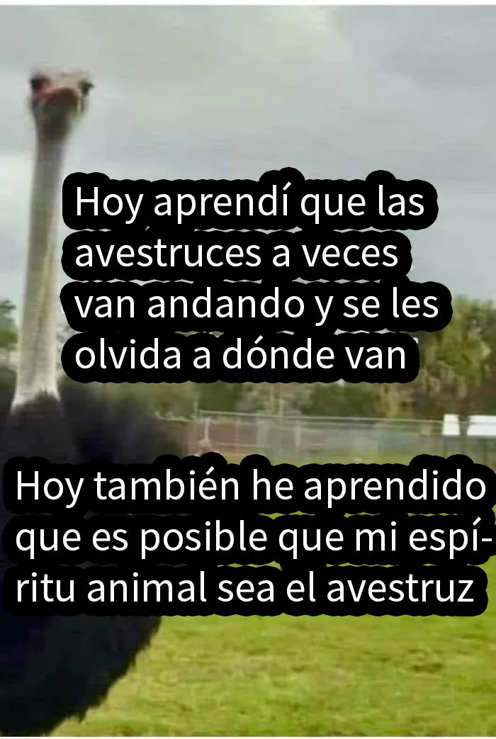 20 Divertidos memes "espirituales" sobre cualquier cosa que se te ocurra