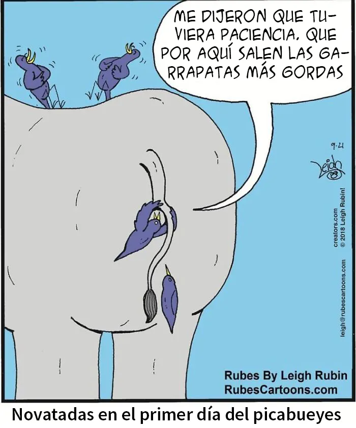 10 Divertidos cómics creados por Leigh Rubin para sacarte una sonrisa