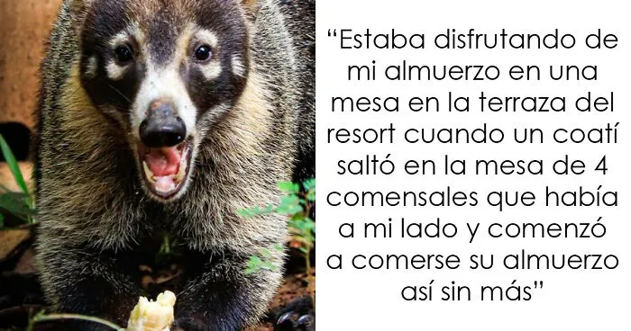 28 Cosas que los empleados de la industria hotelera desearían no haber visto