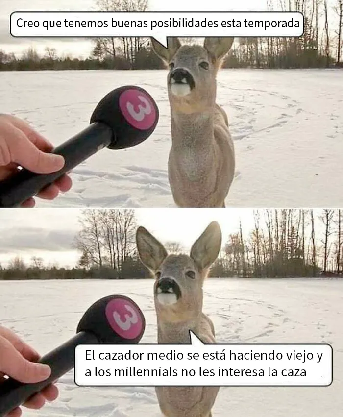 Al ciervo le parece bien