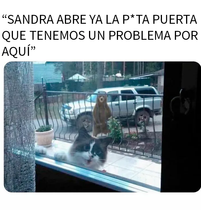 20 Memes y publicaciones divertidas compartidas por esta cuenta de instagram