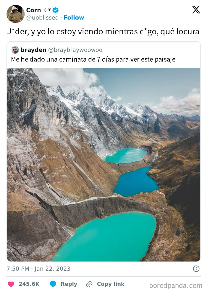 20 Divertidos memes por si necesitas entretenerte hoy