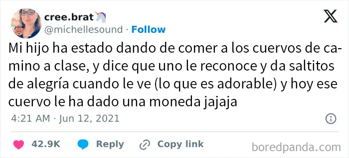 20 Memes y publicaciones divertidas compartidas por esta cuenta de instagram