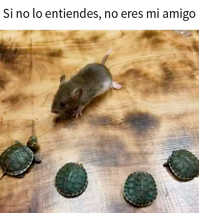 20 Imágenes nostálgicas que te traerán recuerdos de los años 90