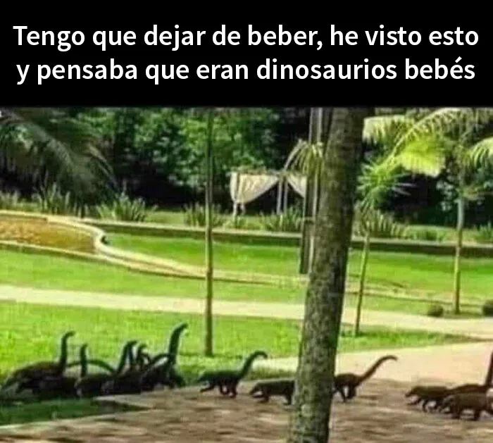 20 Divertidas publicaciones de este grupo dedicado a las "bromas de papá"