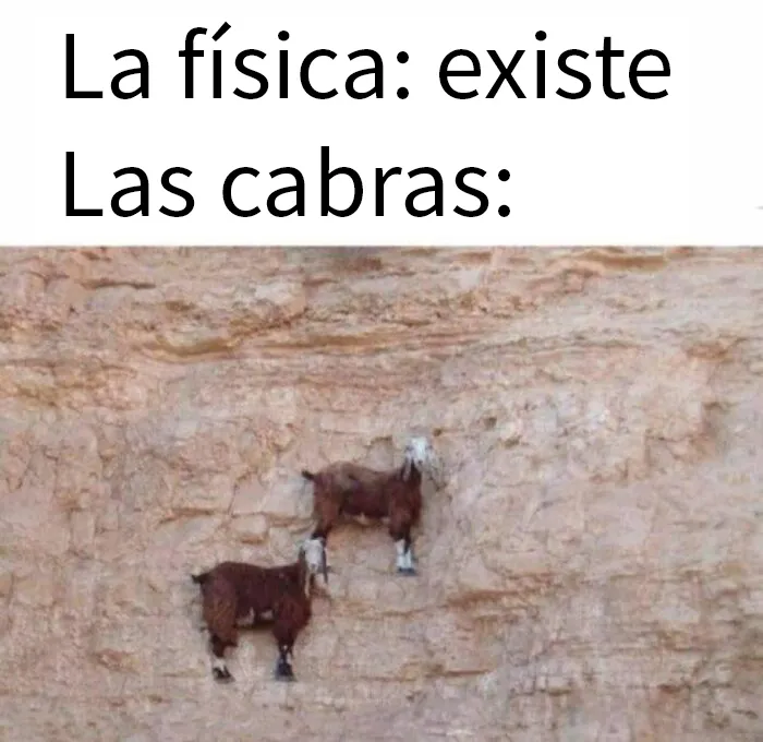 20 Memes mostrando que el humor y la ciencia pueden ir de la mano