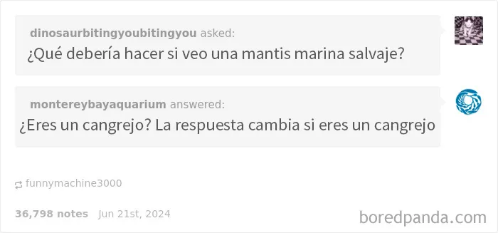 20 Comentarios que son más divertidos que la publicación original
