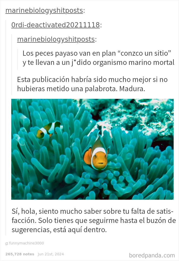 20 Comentarios que son más divertidos que la publicación original