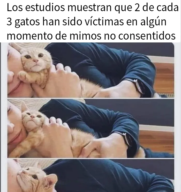 Mi gato me arrancaría los ojos