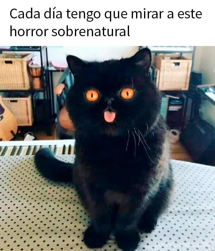 Horror
