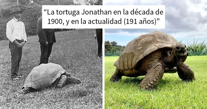 25 Fotos históricas tan interesantes como raras que te enseñarán algo nuevo sobre nuestro pasado
