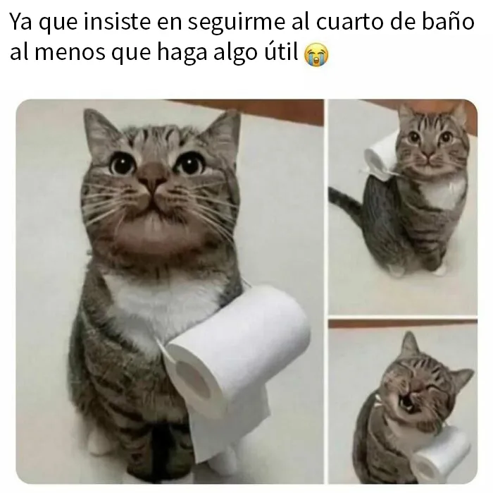 20 Memes divertidos y aleatorios sobre los problemillas de la vida