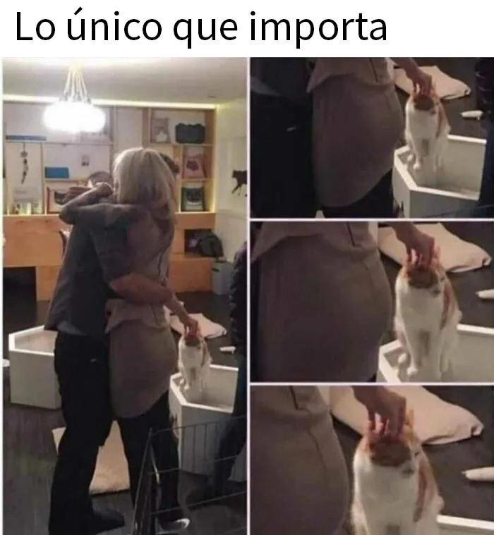 20 Memes divertidos y aleatorios sobre los problemillas de la vida