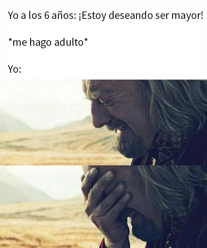 "Un meme para gobernarlos a todos": 20 Divertidos memes creados por fans del Señor de los Anillos