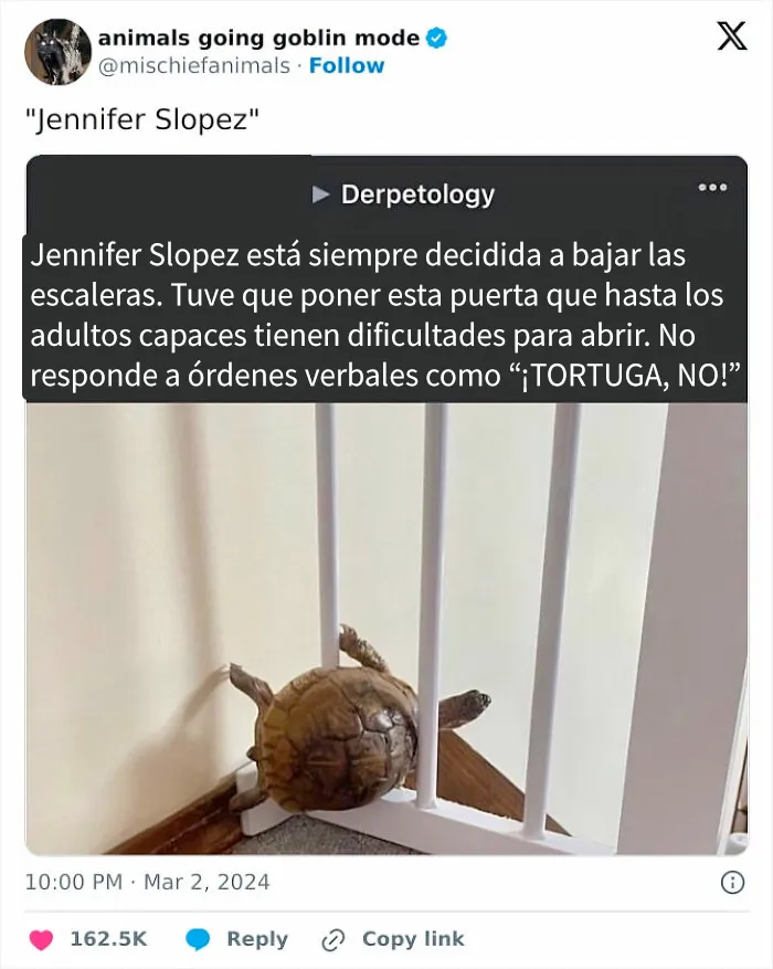 20 Divertidos memes para la gente a la que no le gusta la gente