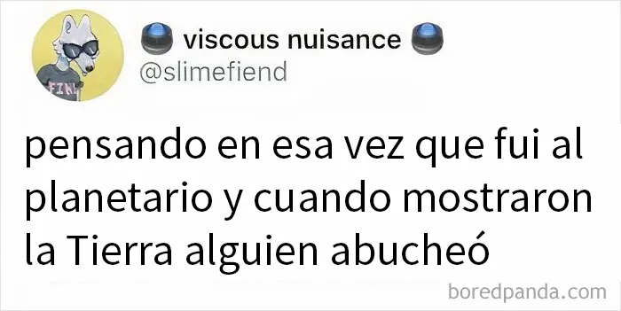 20 Memes llenos de humor "absurdo", por si es lo que necesitas hoy