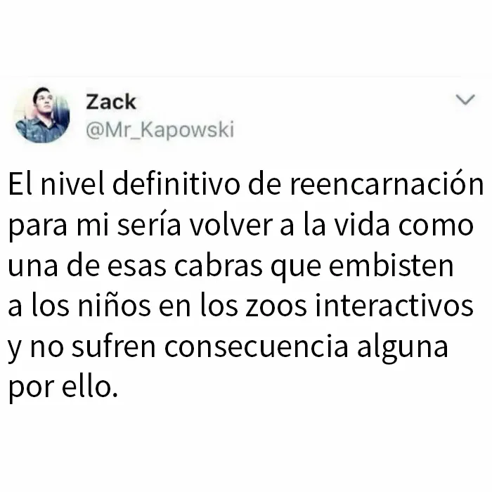 20 Memes llenos de humor "absurdo", por si es lo que necesitas hoy