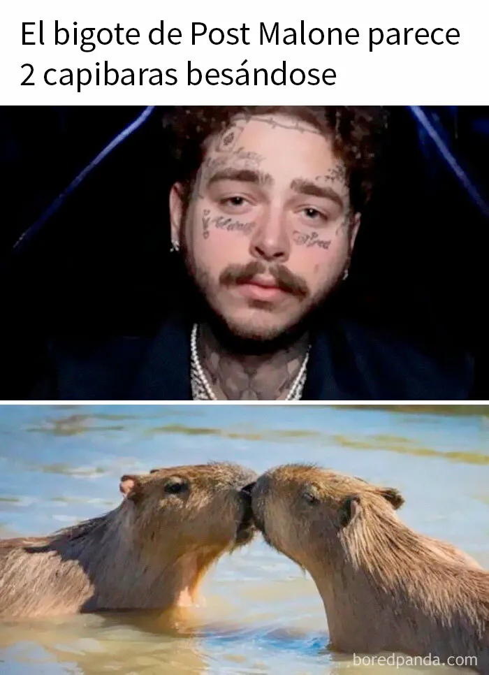 20 Memes llenos de humor "absurdo", por si es lo que necesitas hoy