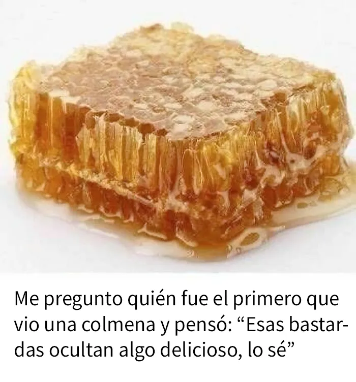 20 Divertidos memes sobre ciencia que combinan humor y conocimiento a la perfección