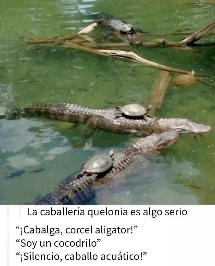 20 Divertidos memes sobre ciencia que combinan humor y conocimiento a la perfección