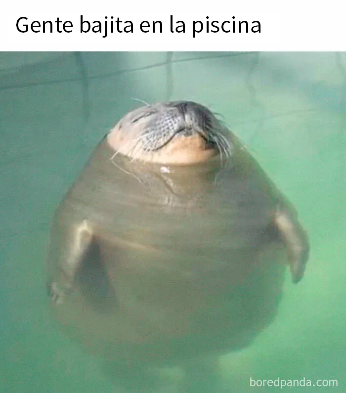 20 Divertidos memes por si necesitas reírte hoy