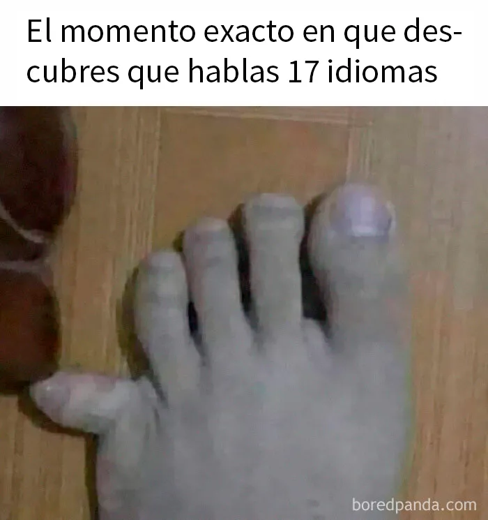 20 Divertidos memes por si necesitas reírte hoy