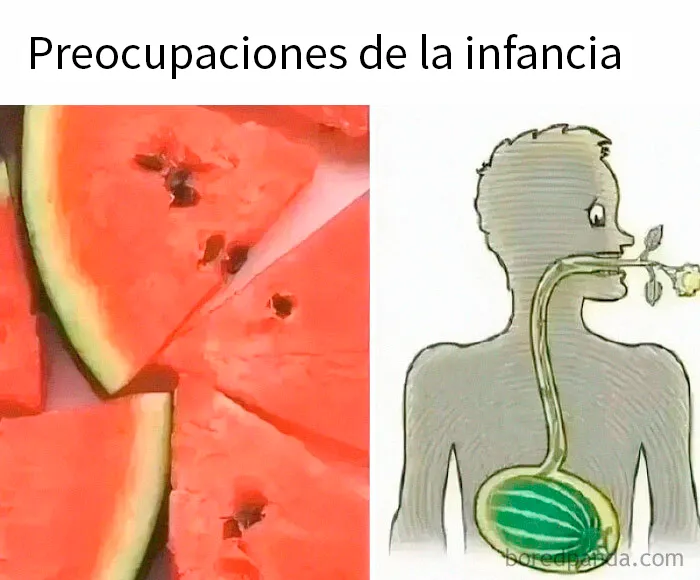 20 Publicaciones nostálgicas que te llevarán de vuelta a los viejos años 90