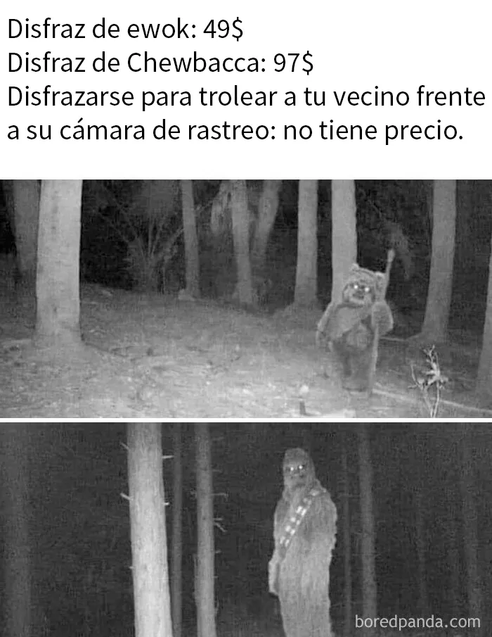20 Memes que resultarán familiares para quienes disfrutan de las actividades al aire libre