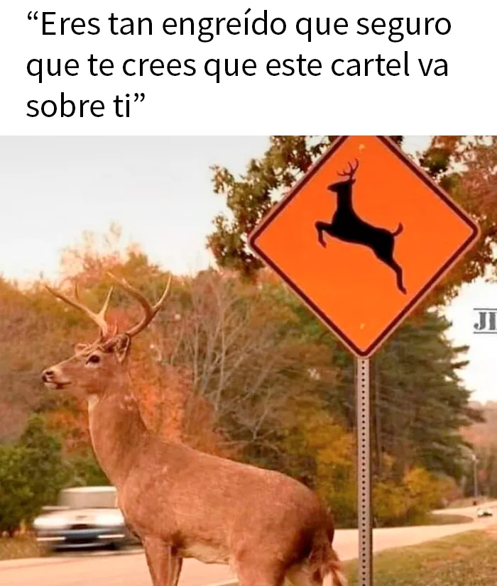20 Memes que resultarán familiares para quienes disfrutan de las actividades al aire libre