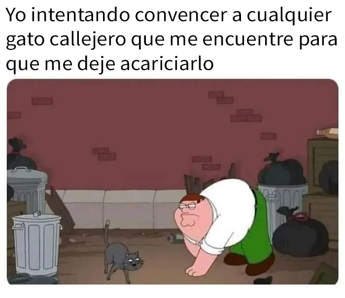 20 Adorables memes de animales para alegrarte el día