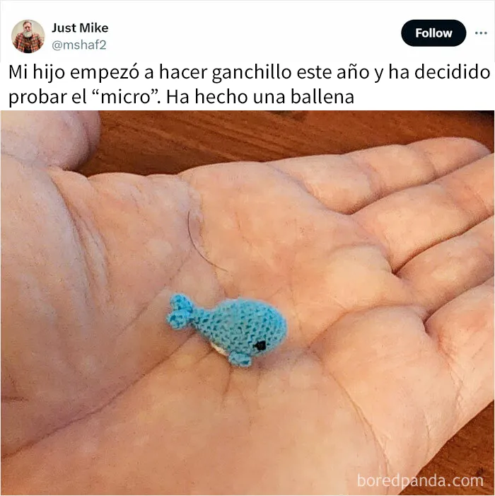 20 Adorables memes de animales para alegrarte el día