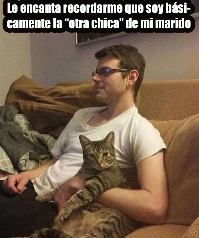 20 Adorables memes de animales para alegrarte el día
