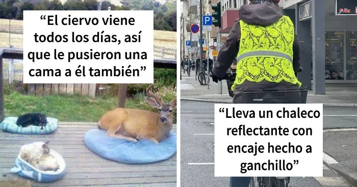 40 Imágenes aleatorias y curiosas para alegrarte un poco el dia