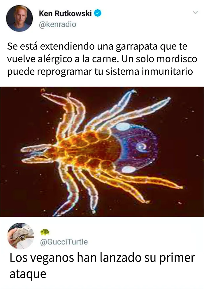 20 Comentarios tan divertidos que se llevaron más fama que las publicaciones en las que aparecen