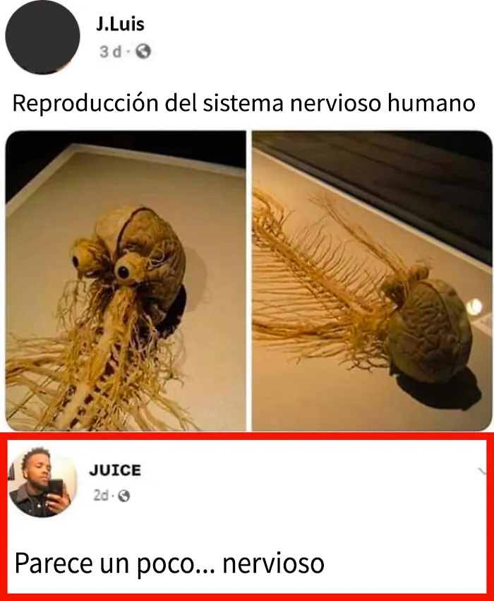 20 Comentarios tan divertidos que se llevaron más fama que las publicaciones en las que aparecen