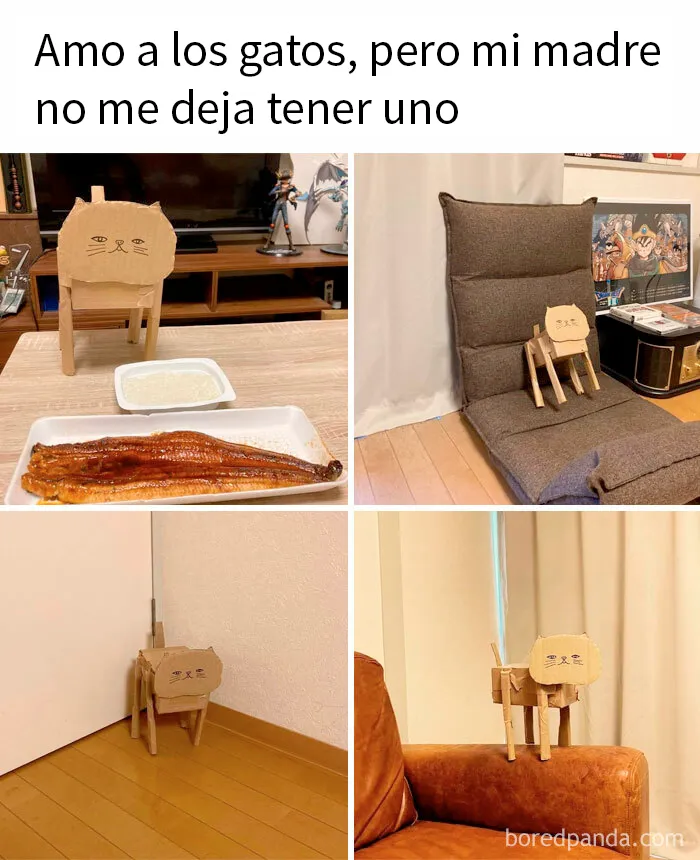 25 Memes de gatos tan divertidos como adorables (nuevas imágenes)