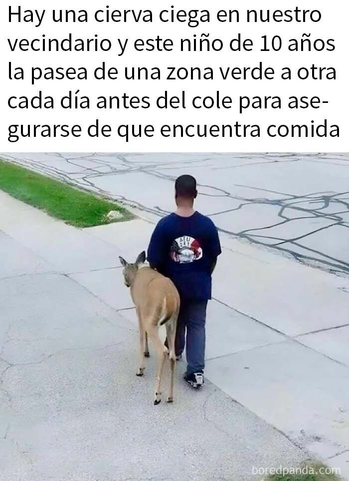 20 Memes reconfortantes para devolverte la fe en la humanidad