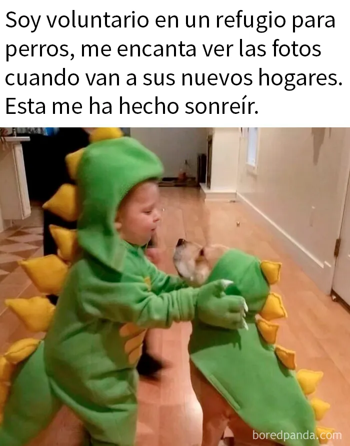 20 Memes reconfortantes para devolverte la fe en la humanidad