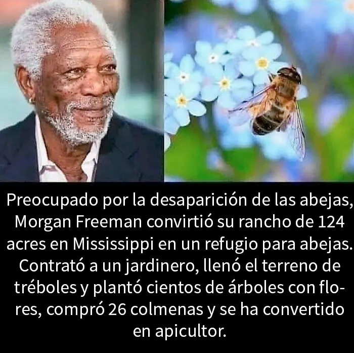 20 Memes reconfortantes para devolverte la fe en la humanidad