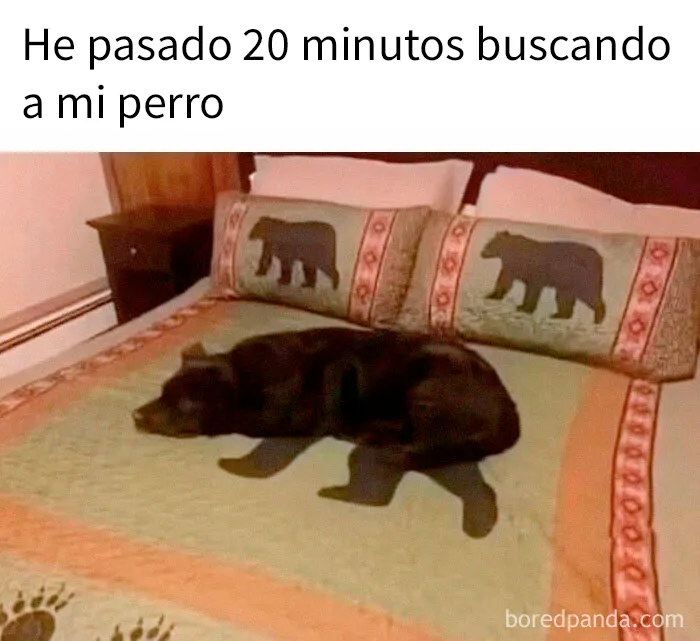 20 Memes divertidos que quizá te resulten familiares