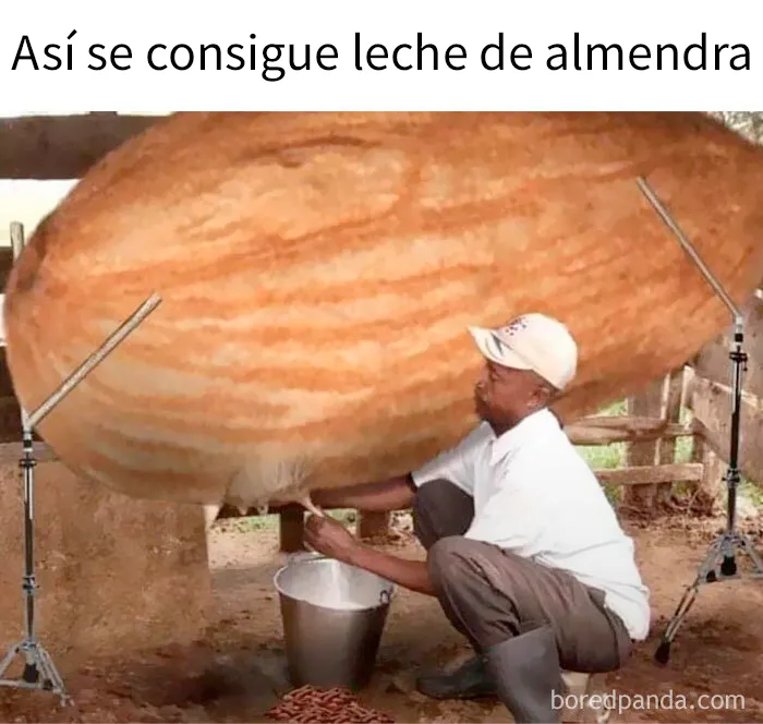 20 Memes divertidos que quizá te resulten familiares