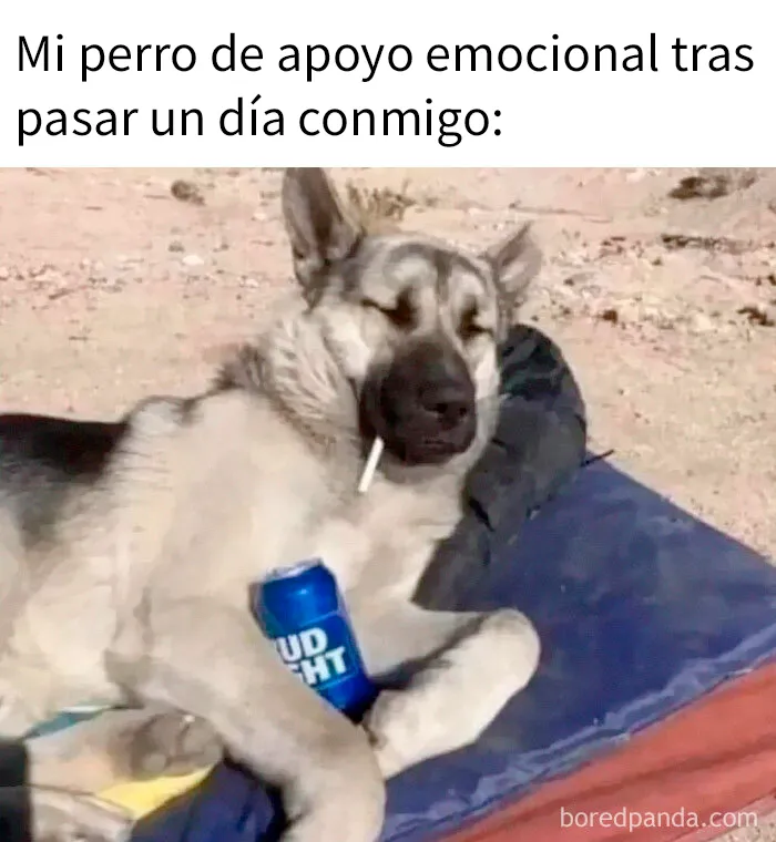 20 Memes divertidos que quizá te resulten familiares