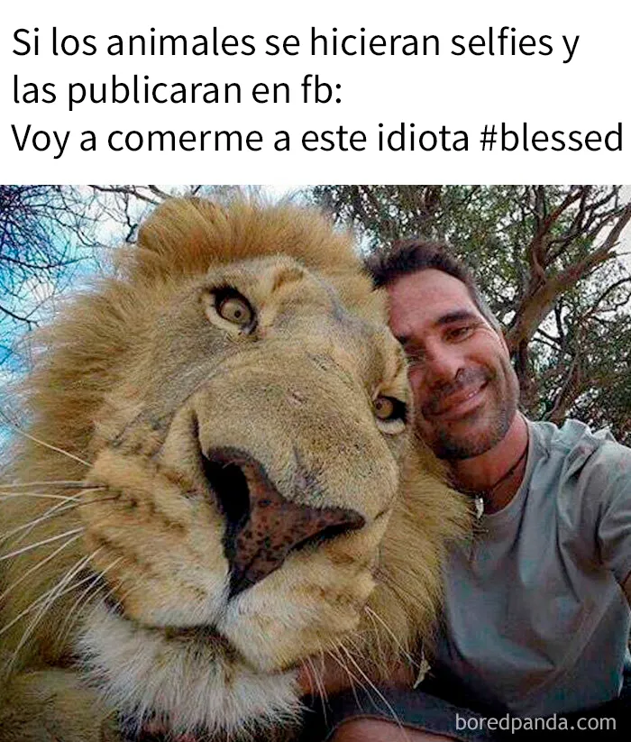 20 Memes divertidos que quizá te resulten familiares