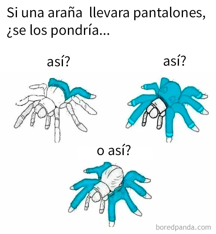 20 Memes divertidos que quizá te resulten familiares