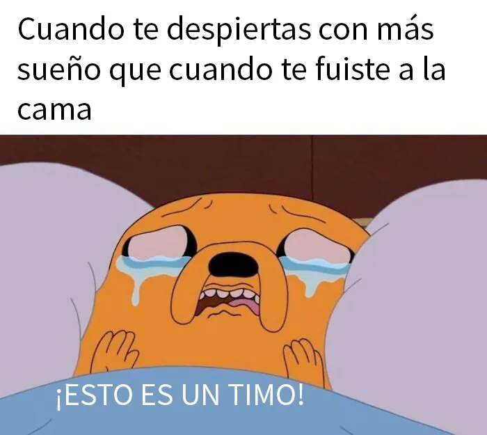 20 Memes para metaleros que se burlan de casi todo