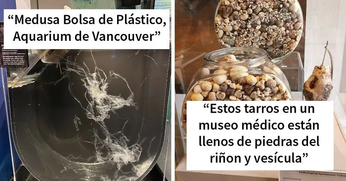40 Exhibiciones de museos tan asombrosas que fueron compartidas online (nuevas imágenes)